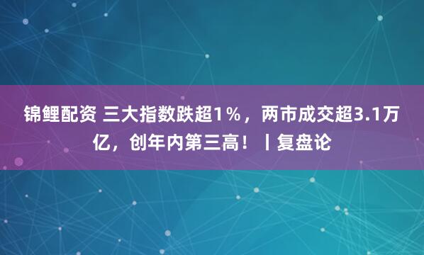 锦鲤配资 三大指数跌超1％，两市成交超3.1万亿，创年内第三高！丨复盘论