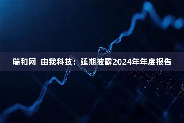 瑞和网  由我科技：延期披露2024年年度报告