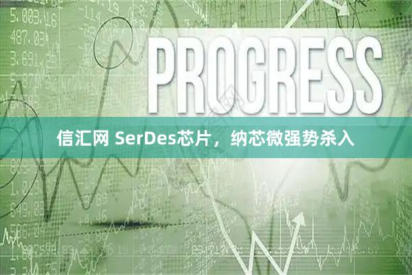 信汇网 SerDes芯片，纳芯微强势杀入